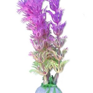 Roślina blister 10cm 1b07 Happet