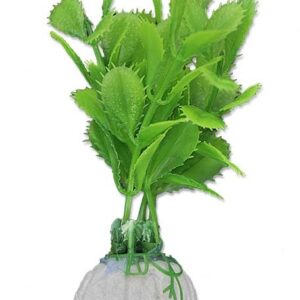 Roślina blister 10cm 1b09 Happet