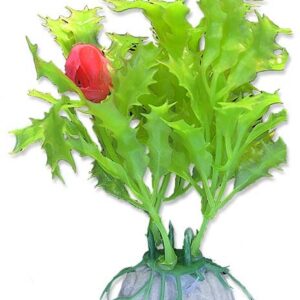 Roślina blister 10cm 1b11 Happet