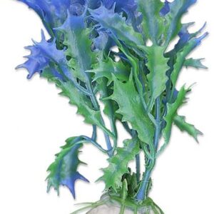 Roślina blister 10cm 1b13 Happet