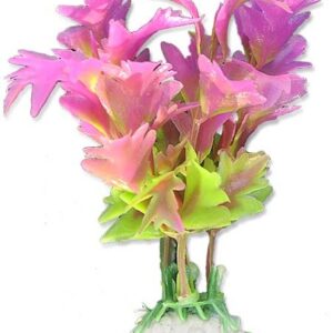 Roślina blister 10cm 1b15 Happet