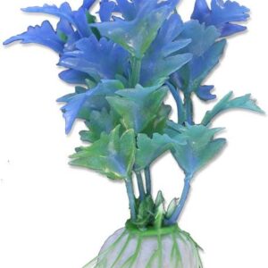 Roślina blister 10cm 1b16 Happet