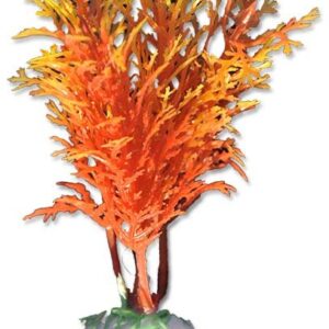 Roślina blister 10cm 1b22 Happet