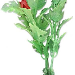 Roślina blister 10cm 1b26 Happet