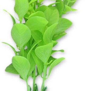 Roślina blister 10cm 1b29 Happet