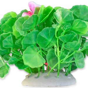 Roślina folia 10cm 1f01 Happet