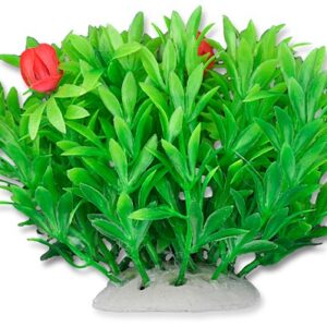 Roślina folia 10cm 1f02 Happet