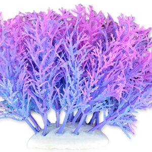 Roślina folia 10cm 1f04 Happet