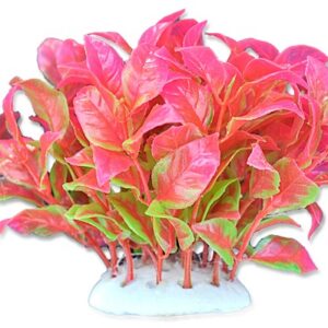 Roślina folia 10cm 1f05 Happet