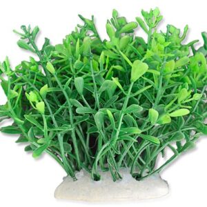 Roślina folia 10cm 1f07 Happet