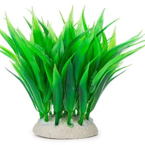 Roślina folia 10cm 1f08 Happet