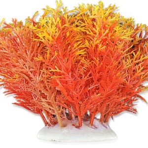 Roślina folia 10cm 1f09 Happet