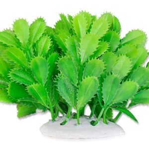 Roślina folia 10cm 1f10 Happet