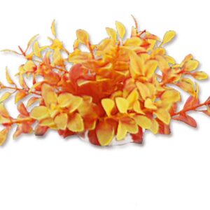 Roślina folia 10cm 1f14 Happet