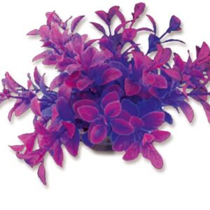 Roślina folia 10cm 1f15 Happet