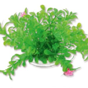 Roślina folia 10cm 1f18 Happet