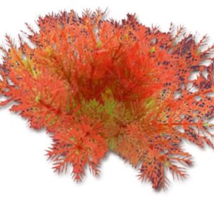 Roślina folia 10cm 1f19 Happet