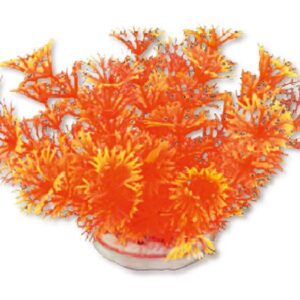 Roślina folia 10cm 1f20 Happet