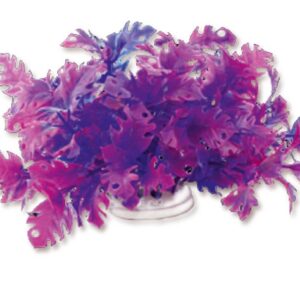 Roślina folia 10cm 1f21 Happet