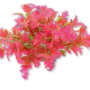 Roślina folia 10cm 1f23 Happet