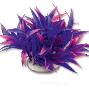 Roślina folia 10cm 1f25 Happet