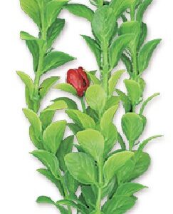 Roślina blister 20cm 2b31 Happet