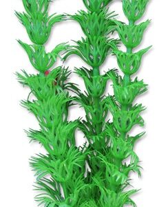 Roślina blister 20cm 2b34 Happet