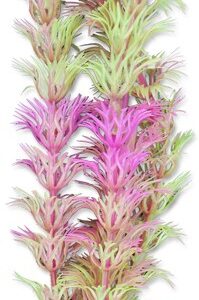 Roślina blister 20cm 2b36 Happet