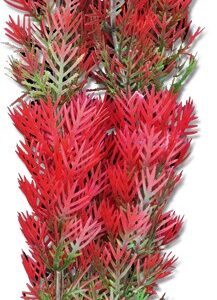 Roślina blister 20cm 2b37 Happet