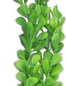 Roślina blister 20cm 2b38 Happet