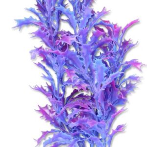 Roślina blister 20cm 2b41 Happet