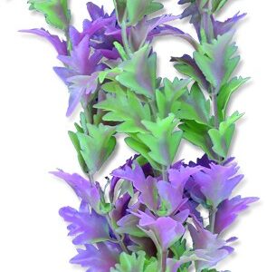 Roślina blister 20cm 2b43 Happet