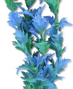 Roślina blister 20cm 2b44 Happet