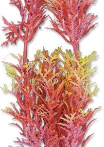 Roślina blister 20cm 2b45 Happet