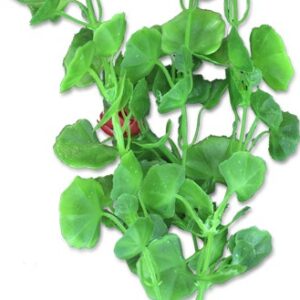 Roślina blister 20cm 2b46 Happet