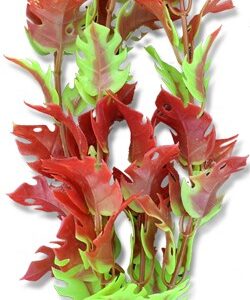 Roślina blister 20cm 2b49 Happet