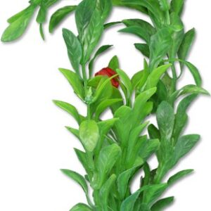 Roślina blister 20cm 2b51 Happet