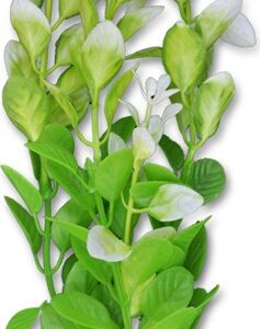 Roślina blister 20cm 2b52 Happet