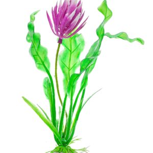 Roślina blister 20cm 2b54 Happet