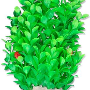 Roślina folia 20cm 2f11 Happet