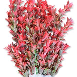 Roślina folia 20cm 2f15 Happet