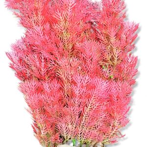 Roślina folia 20cm 2f16 Happet