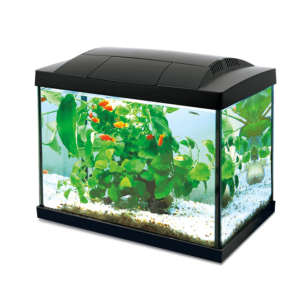 Akwarium Hailea K20 20l czarne