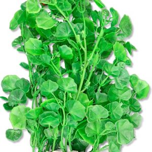 Roślina folia 20cm 2f21 Happet