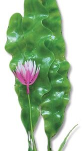 Roślina blister 40cm 4b57 Happet