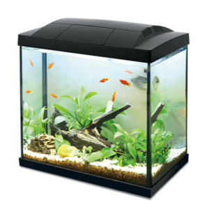 Akwarium Hailea K30 30l czarne