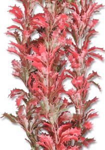 Roślina blister 40cm 4b62 Happet