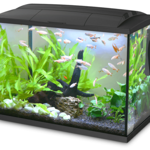 Akwarium Hailea K60 60l czarne