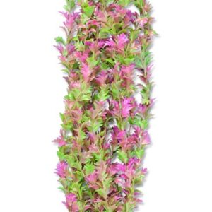 Roślina folia 65cm 6f36 Happet