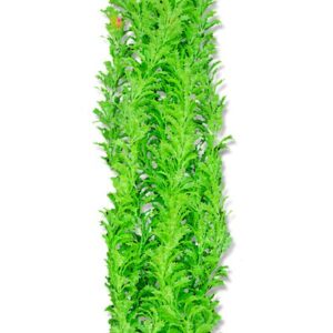 Roślina folia 65cm 6f37 Happet